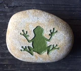 Green Frog 2.jpg