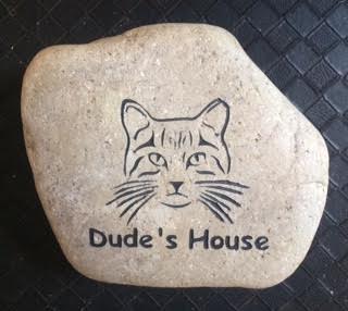 Dude's House.jpg