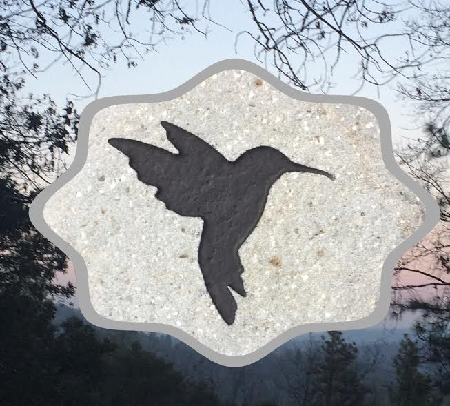Hummingbird-Sky.jpg