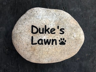 Dukes Lawn.jpg