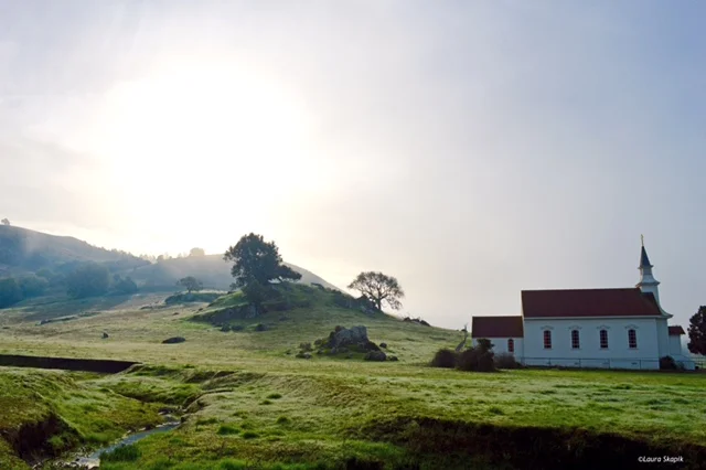nicasio morning sunrise 021216.jpg