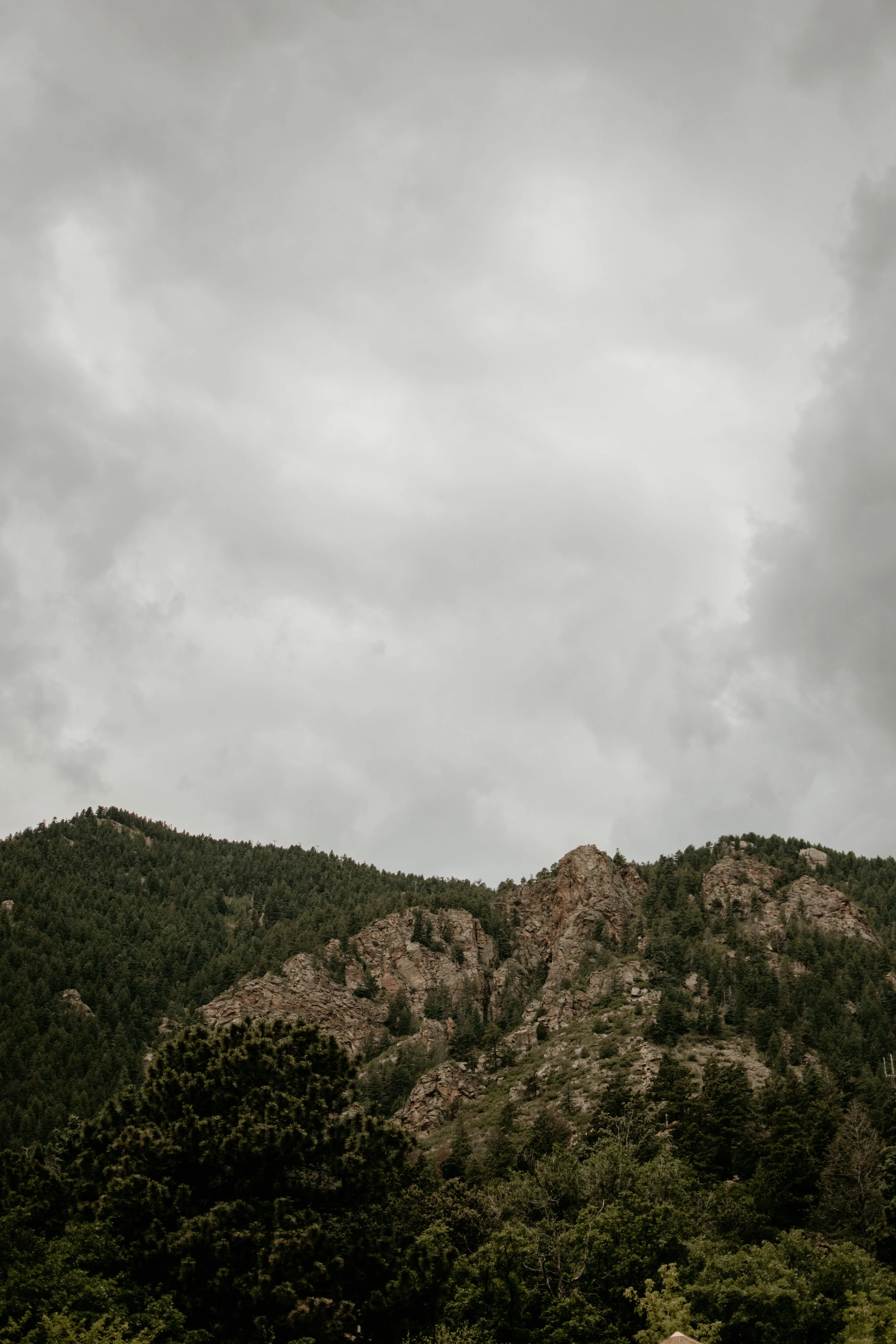 DSC_0087.jpg