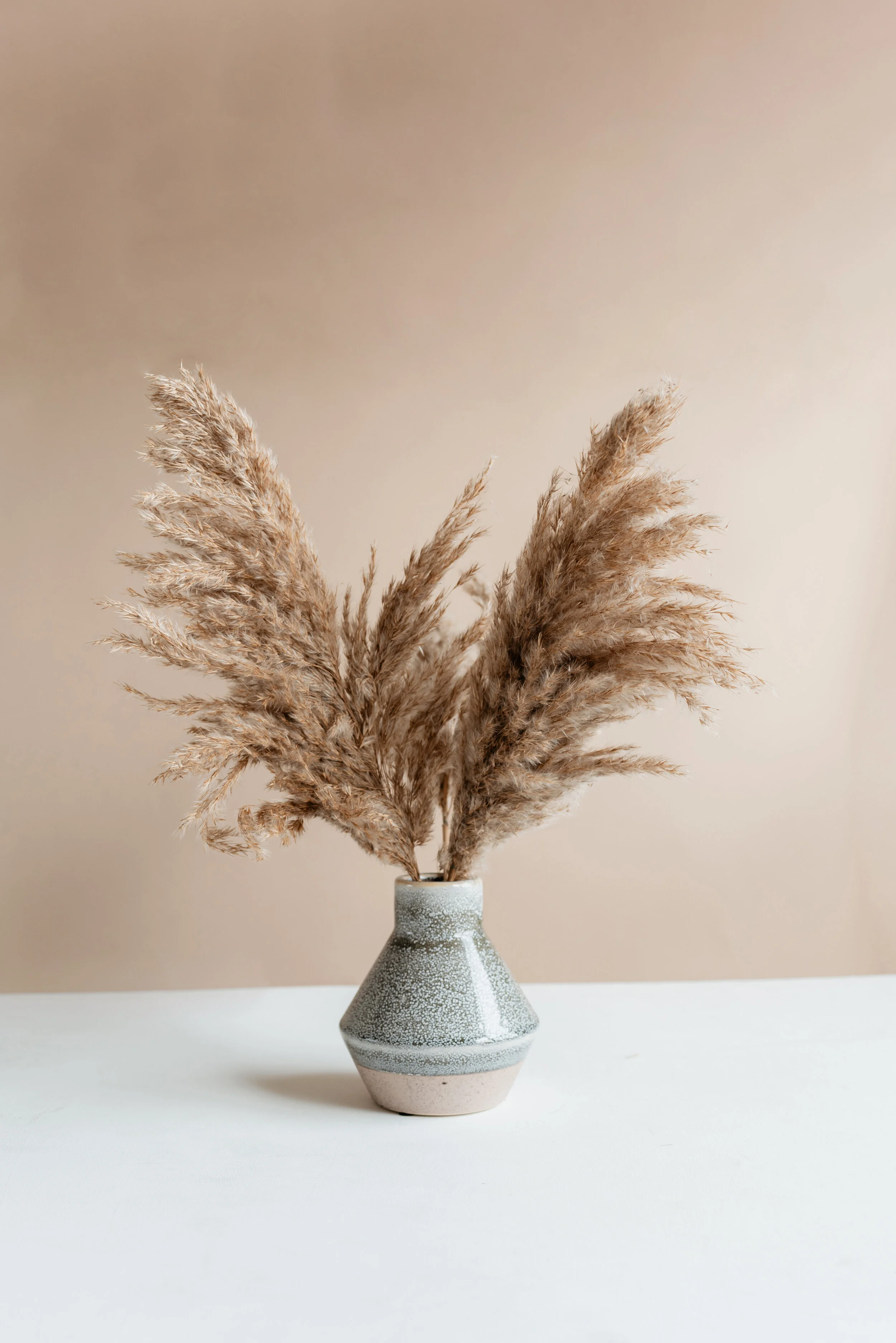 Pampas_03.jpg