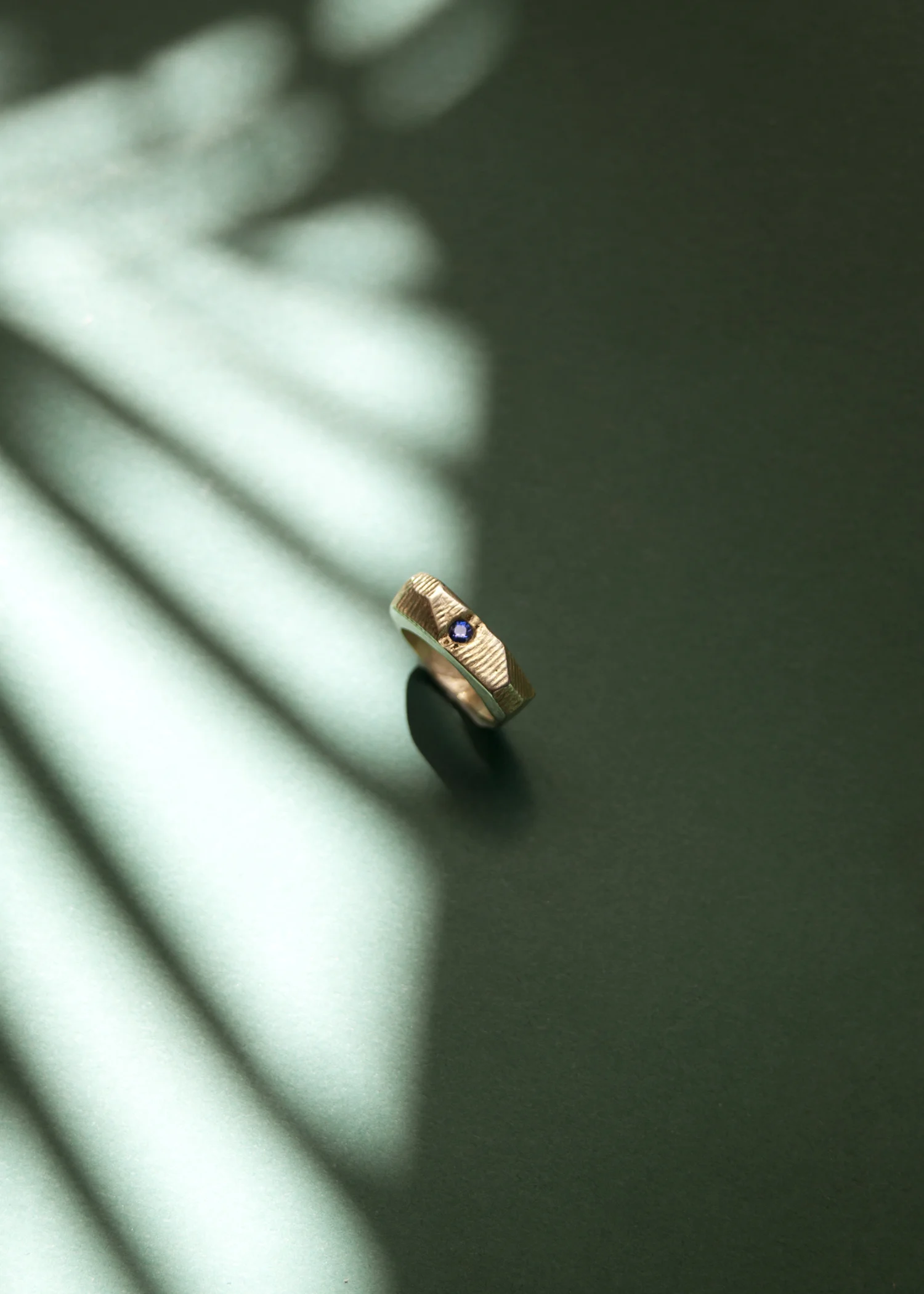 nn_ring_02.jpg