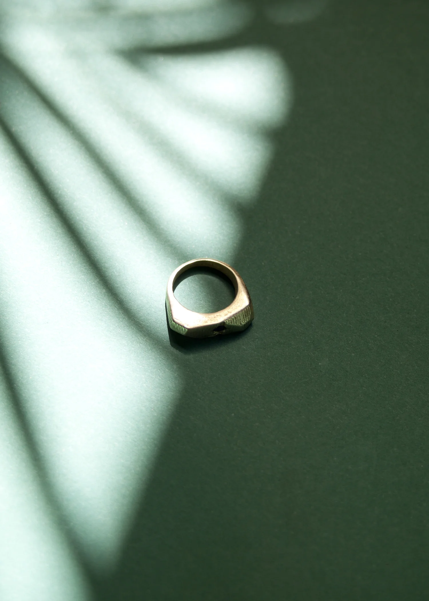 nn_ring_01.jpg