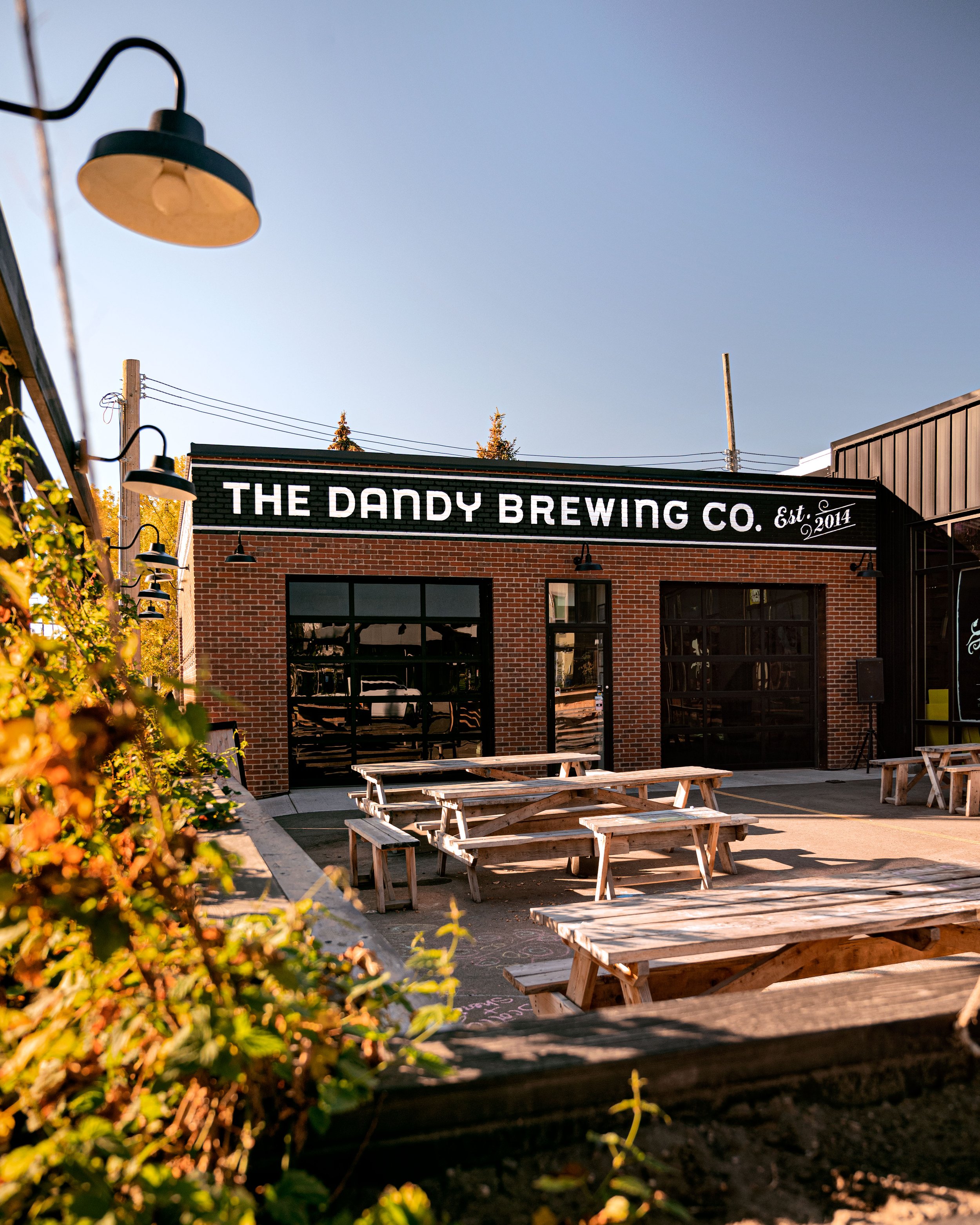 DANDYBREWING2.jpg