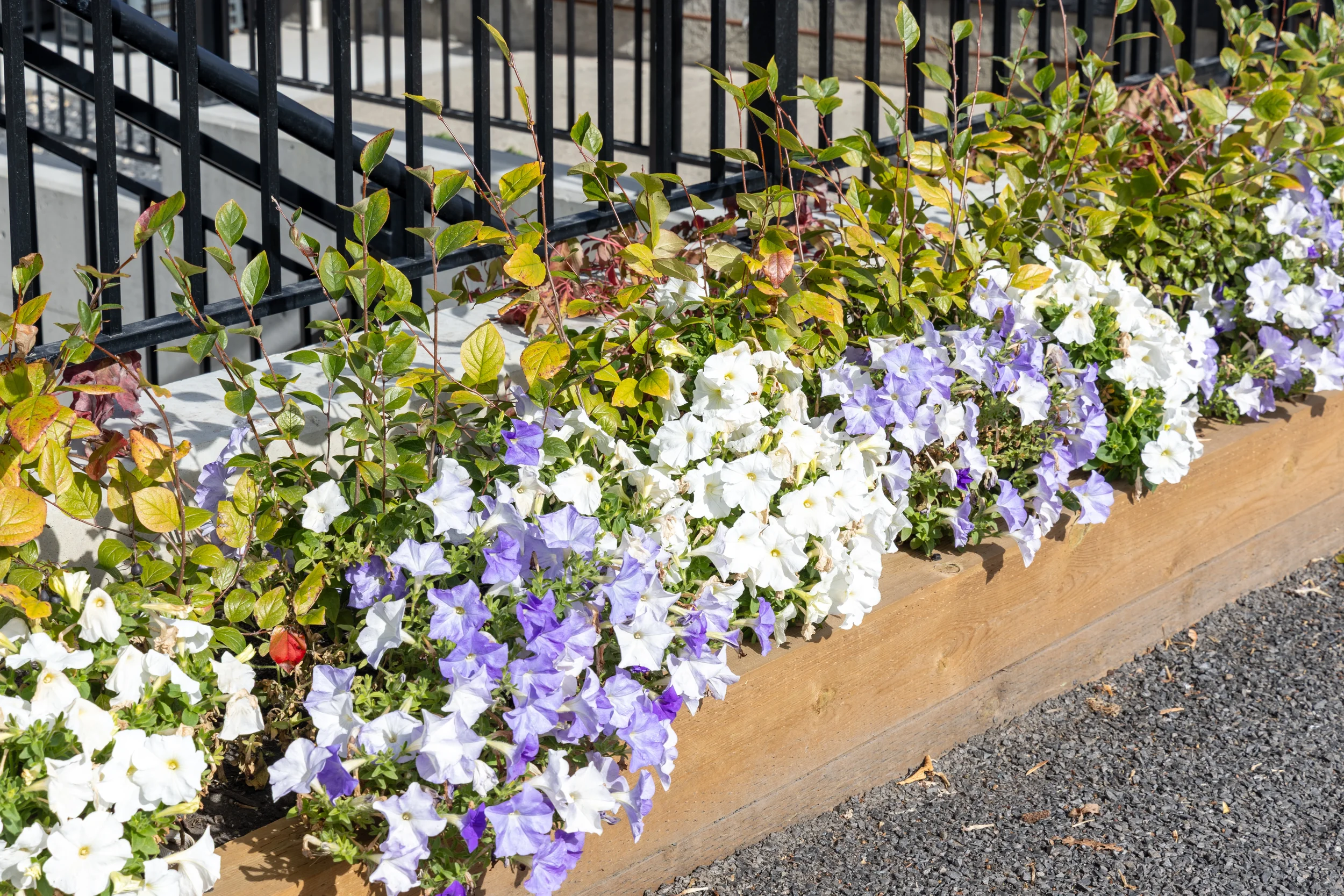 Building 1512-05.webp