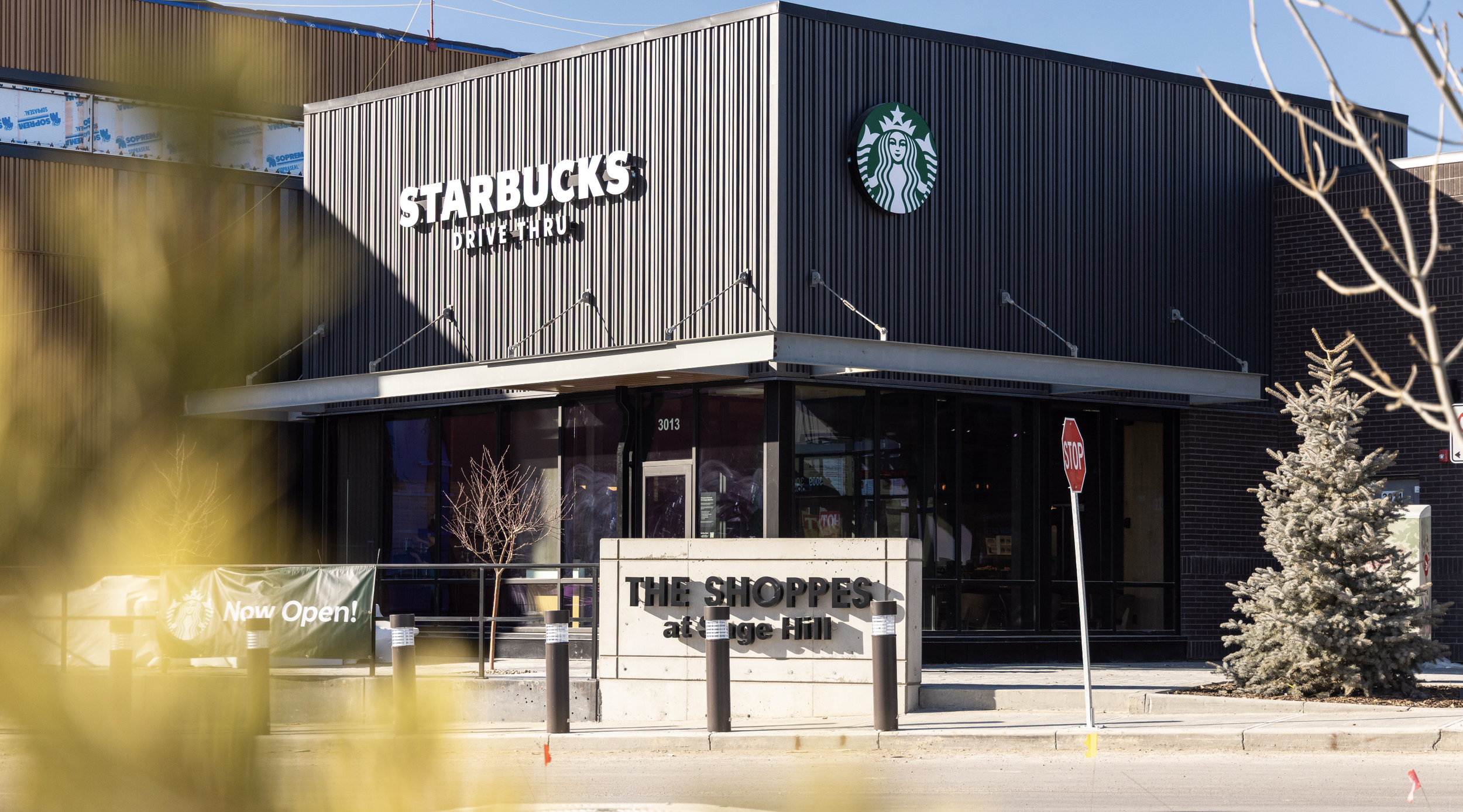 Starbucks-Sage-Hill.png
