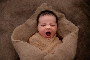 Studio-newborn-photography-district-hills.jpg