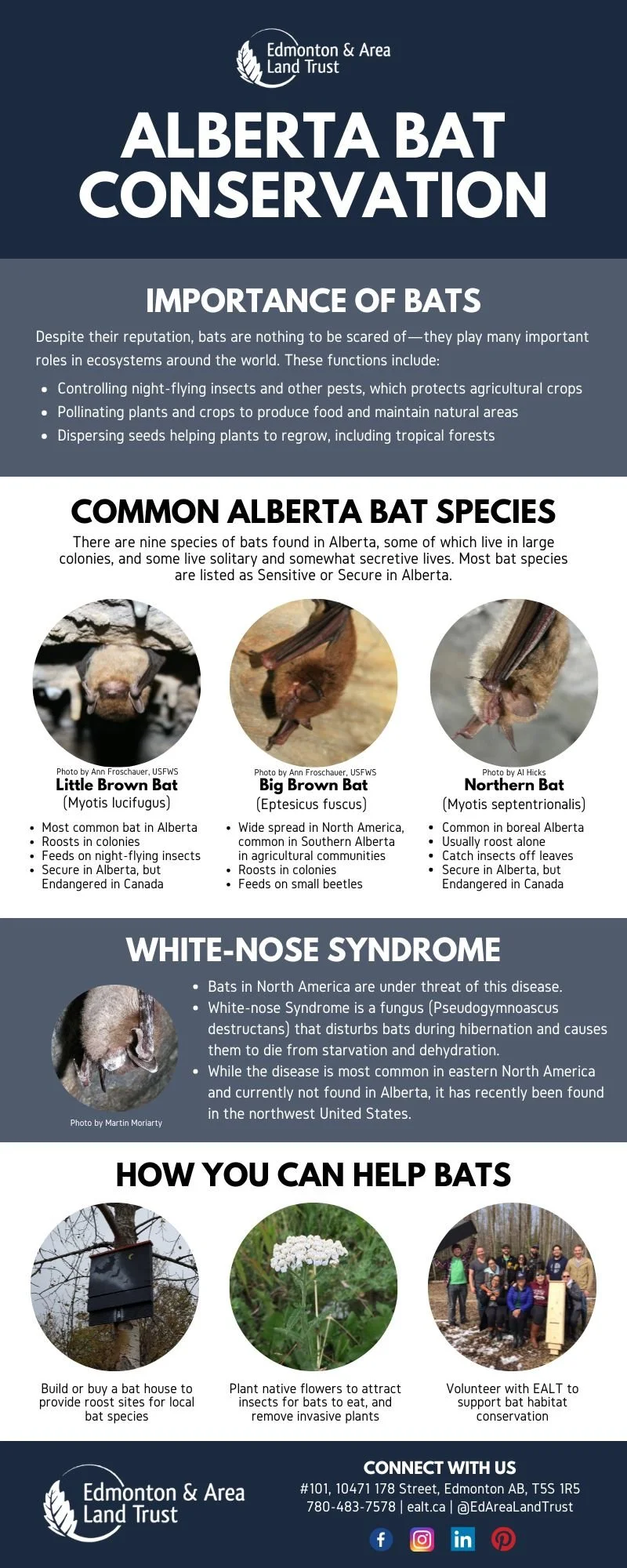 Bat Boxes — Edmonton & Area Land Trust