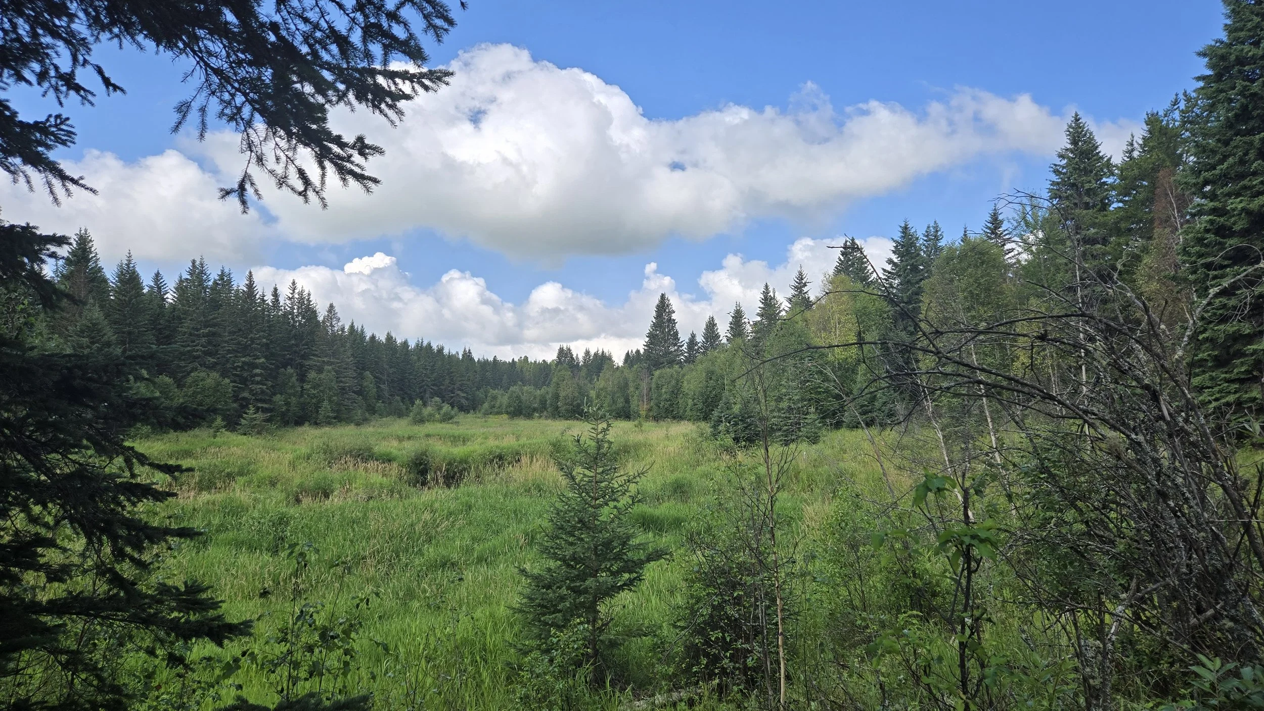 View of tide creek_TCC_EALT_2026-08-12 (2).jpg