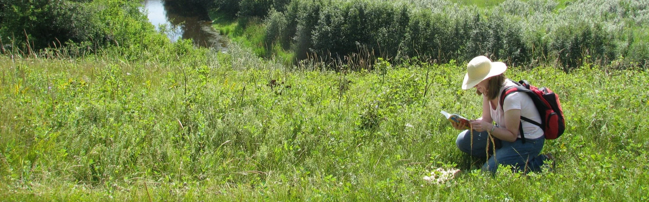 Collecting and Recording Data_EALT_2011-07-27 (1).jpg