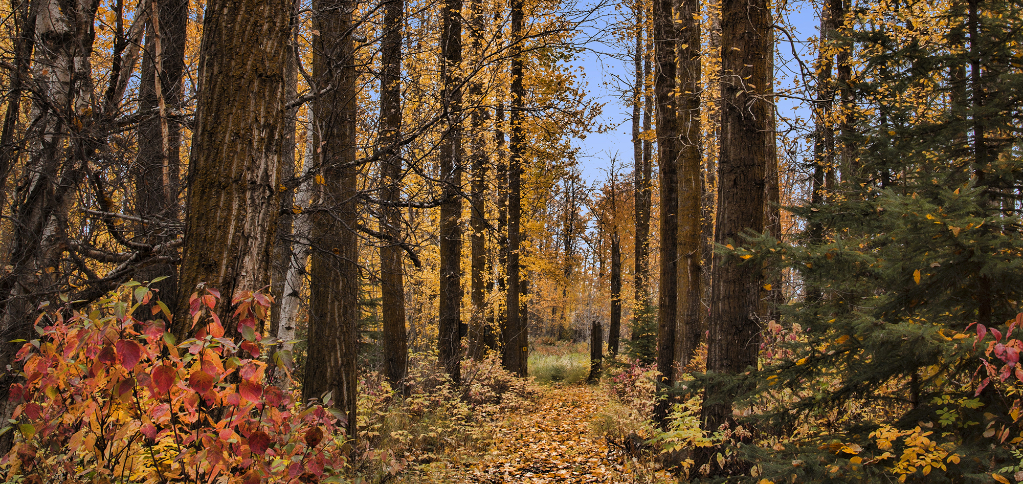 Trail Mix - R. Burkholder.jpg