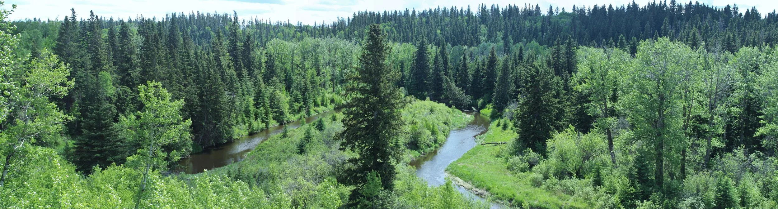 Pipestone - Barry MacDonald.JPG