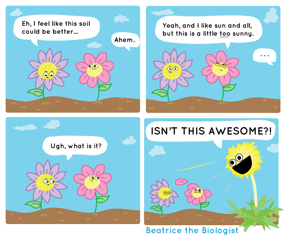 dandelion - beatrice biologist.png