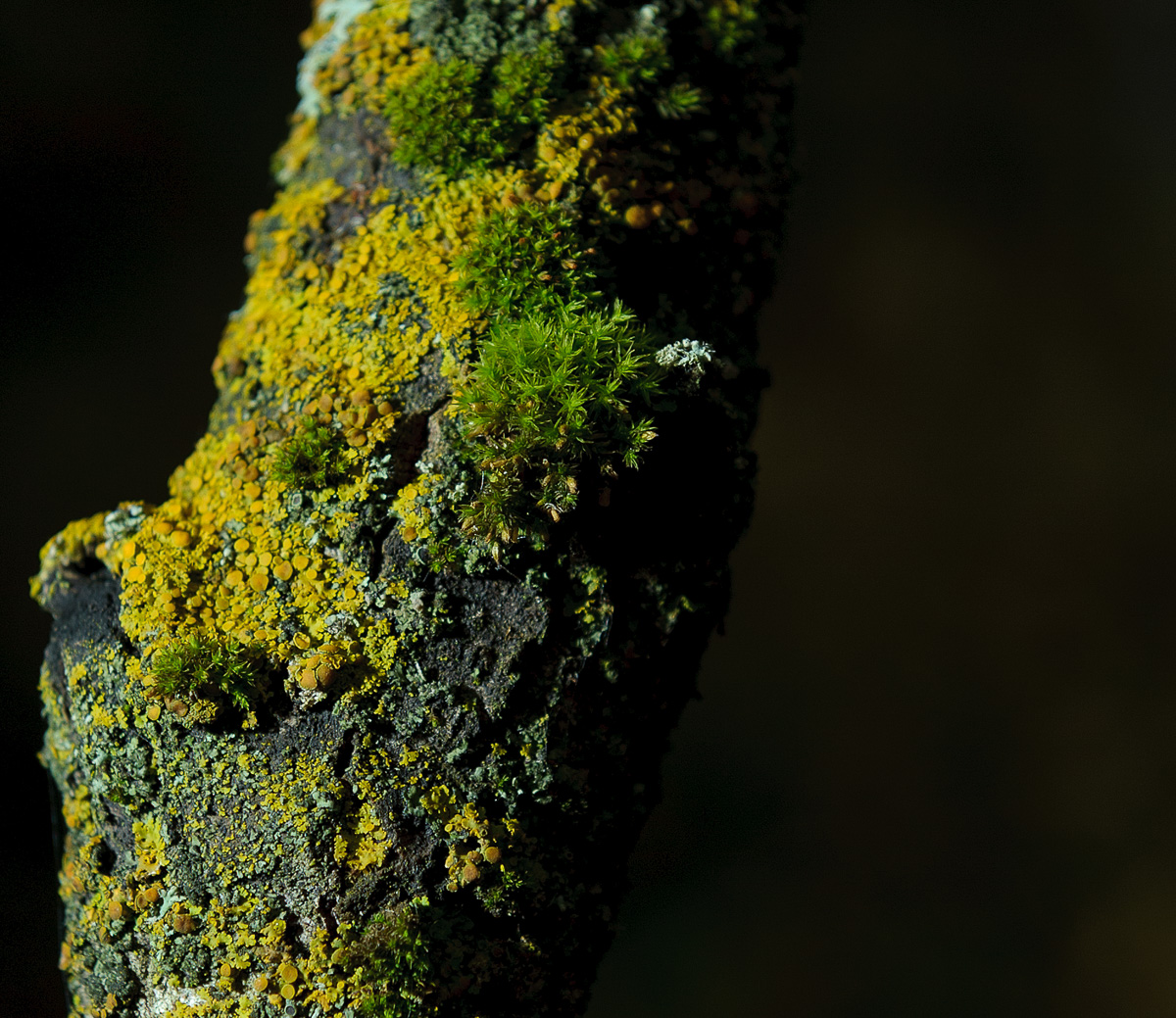 Images Alberta Field Trips-144-Edit.jpg