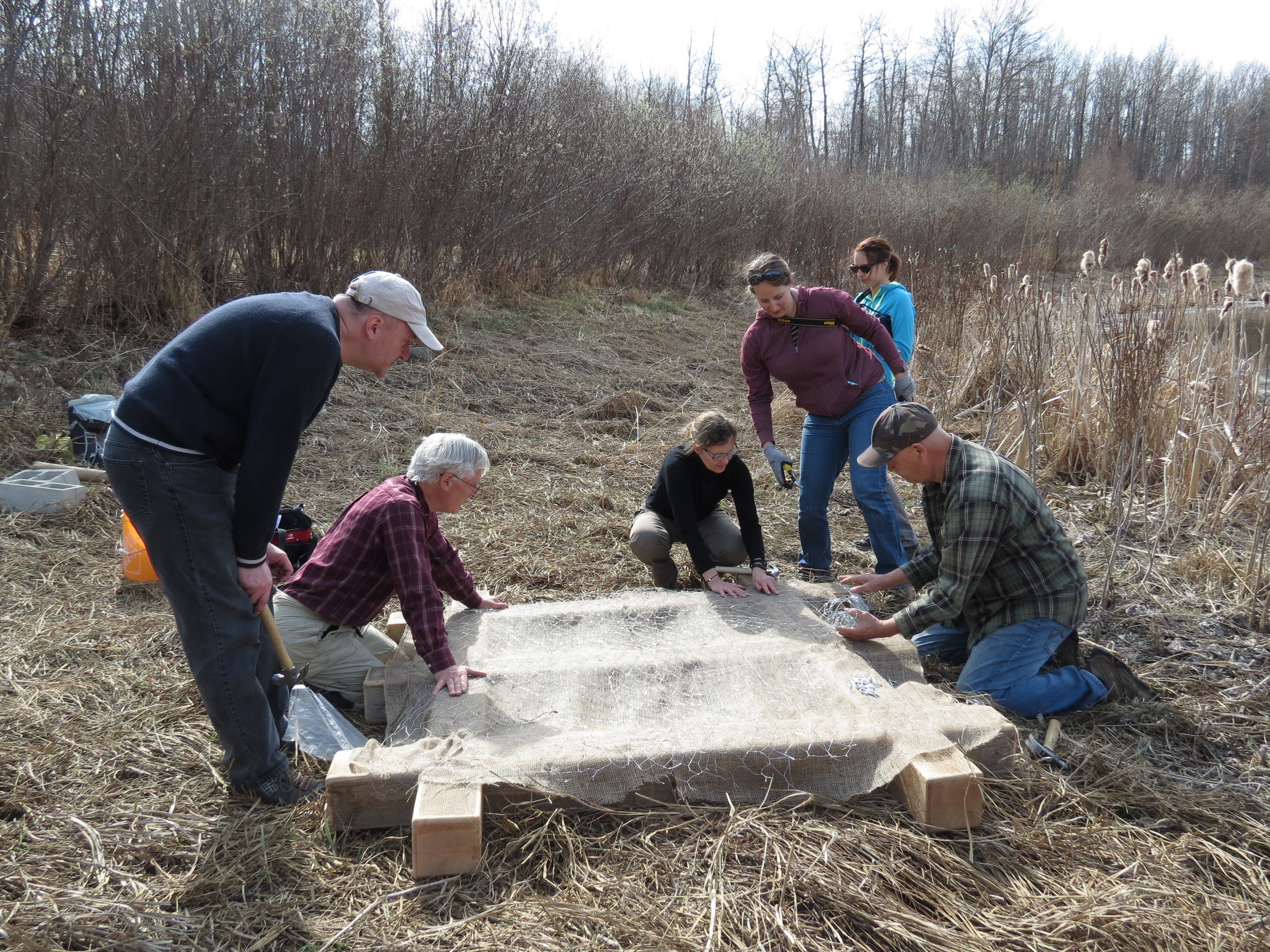Earth Day Loon Platform — Edmonton & Area Land Trust