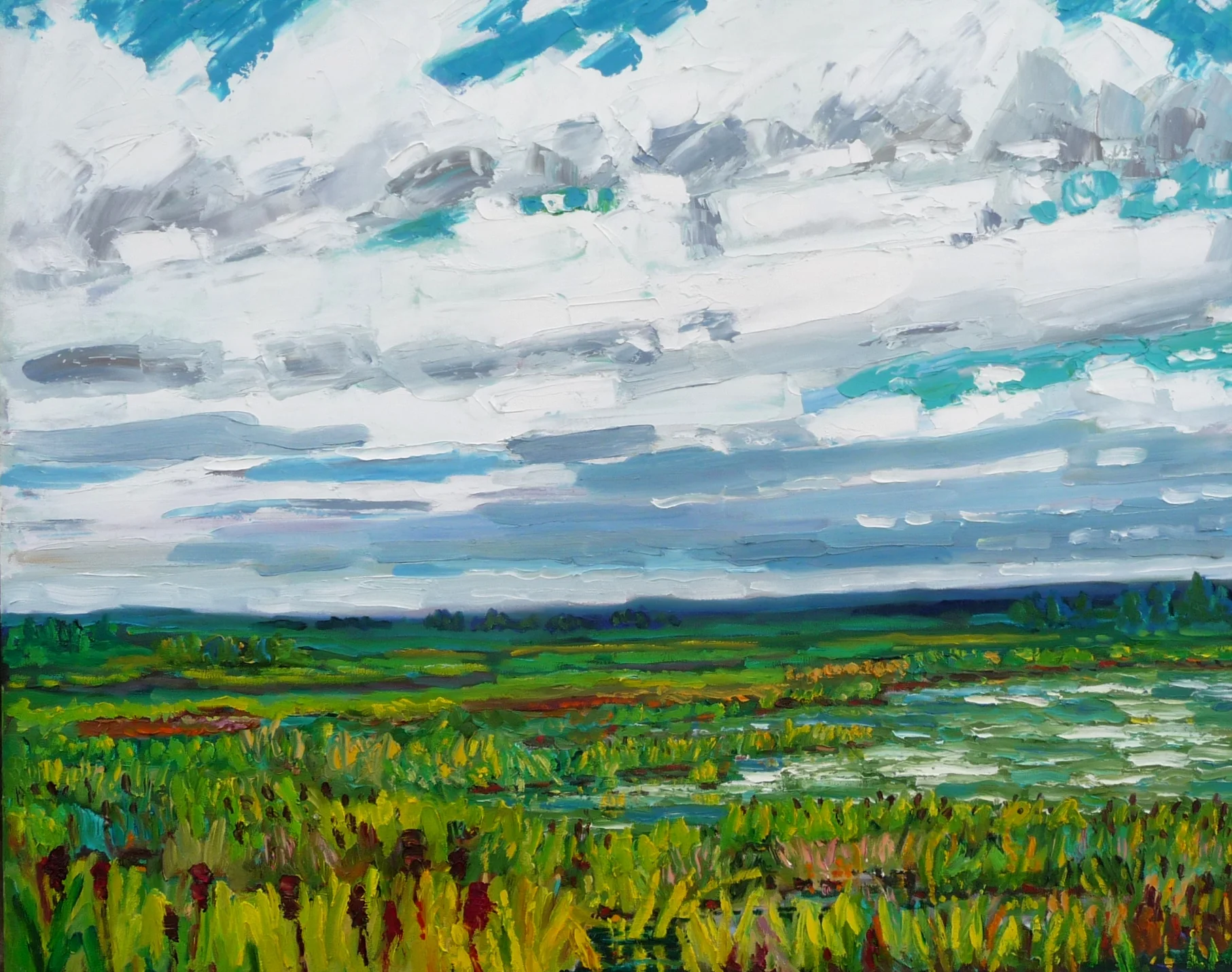 Marsh near Cadotte Lake, AB by Bruce Thompson