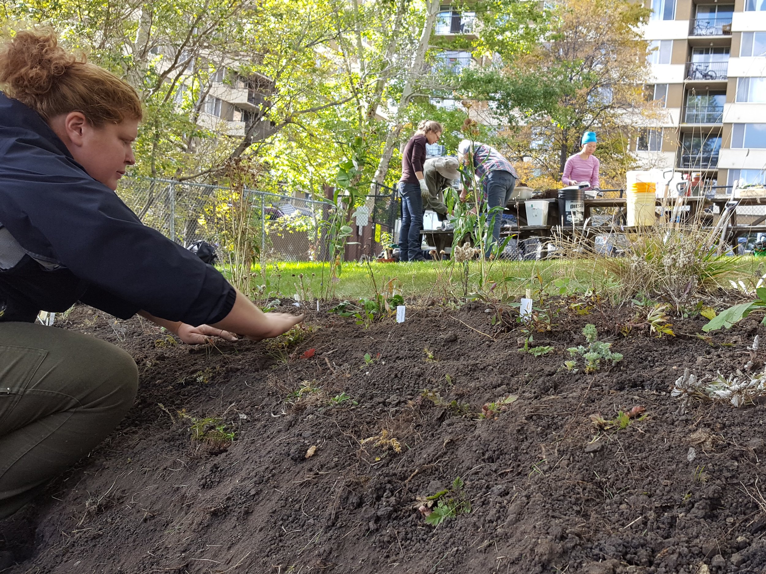 Carefully planting each one