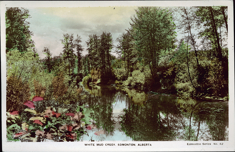 White Mud Creek, Edmonton, Alberta