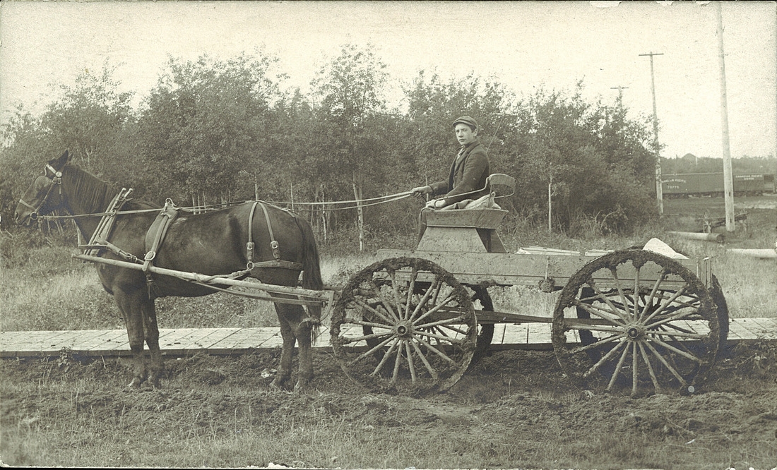 Horse cart on dirt road
