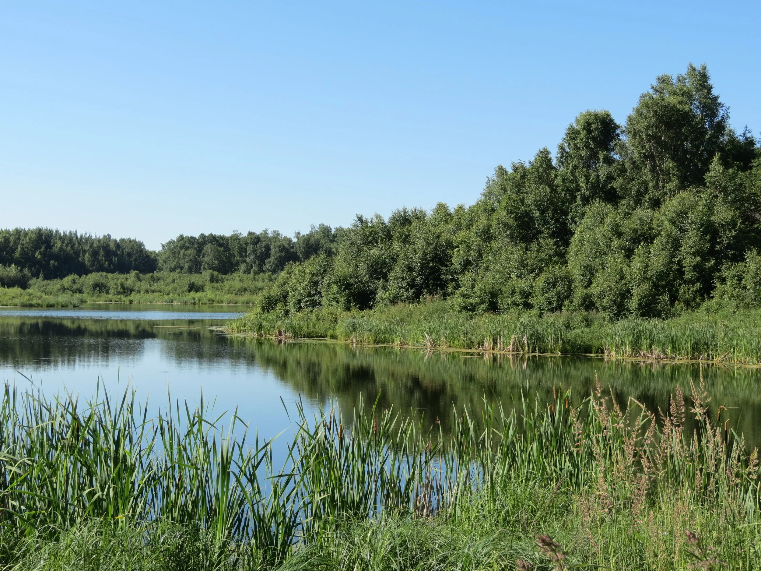 ENC Birding Field Trip
