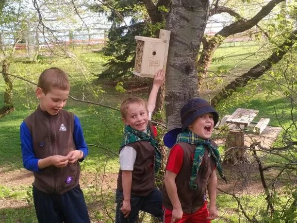 Beavers hung up 19 bee houses around Lacombe Lake Park – busy Beavers!