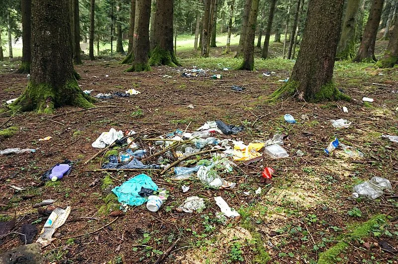 Trash_in_forest.jpg