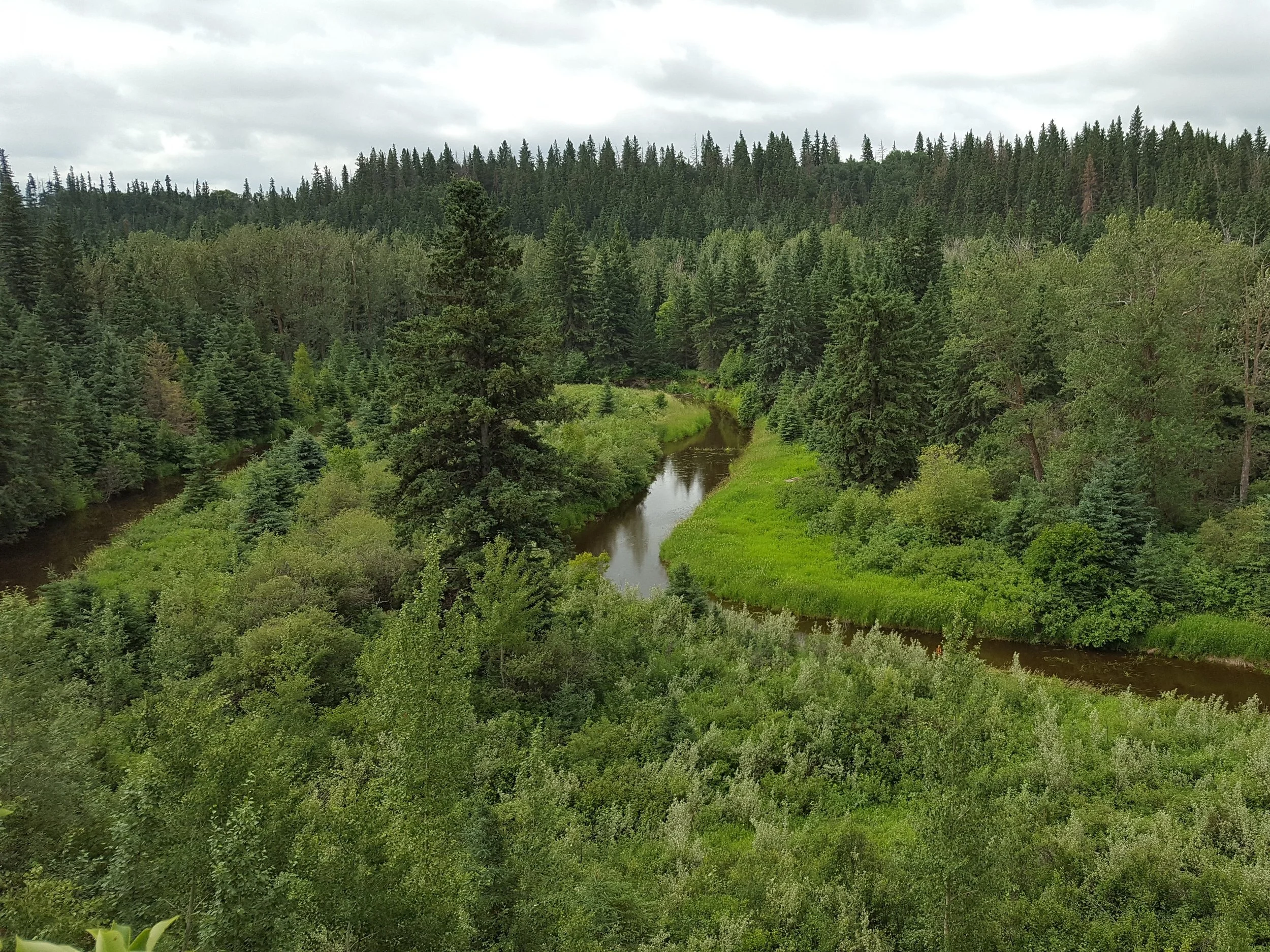 Pipestone Creek Conservation Lands