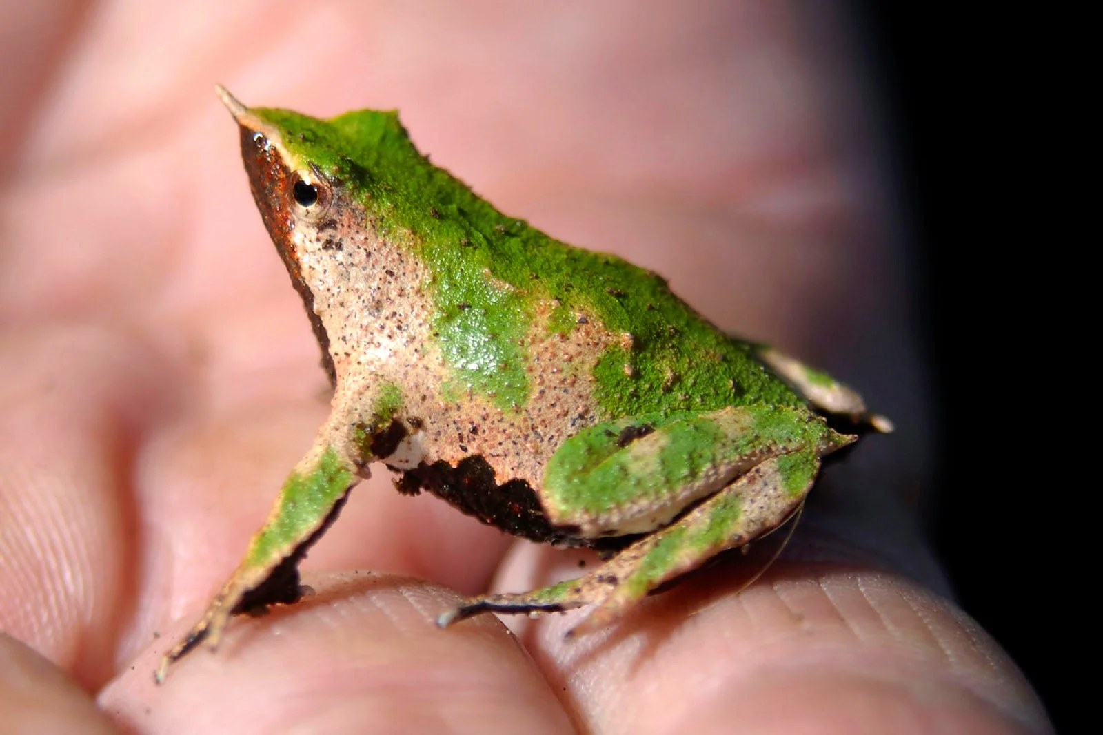 Photo by ilknowledge.com