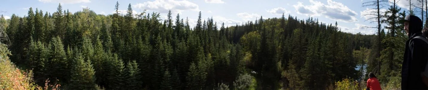 image8.jpg