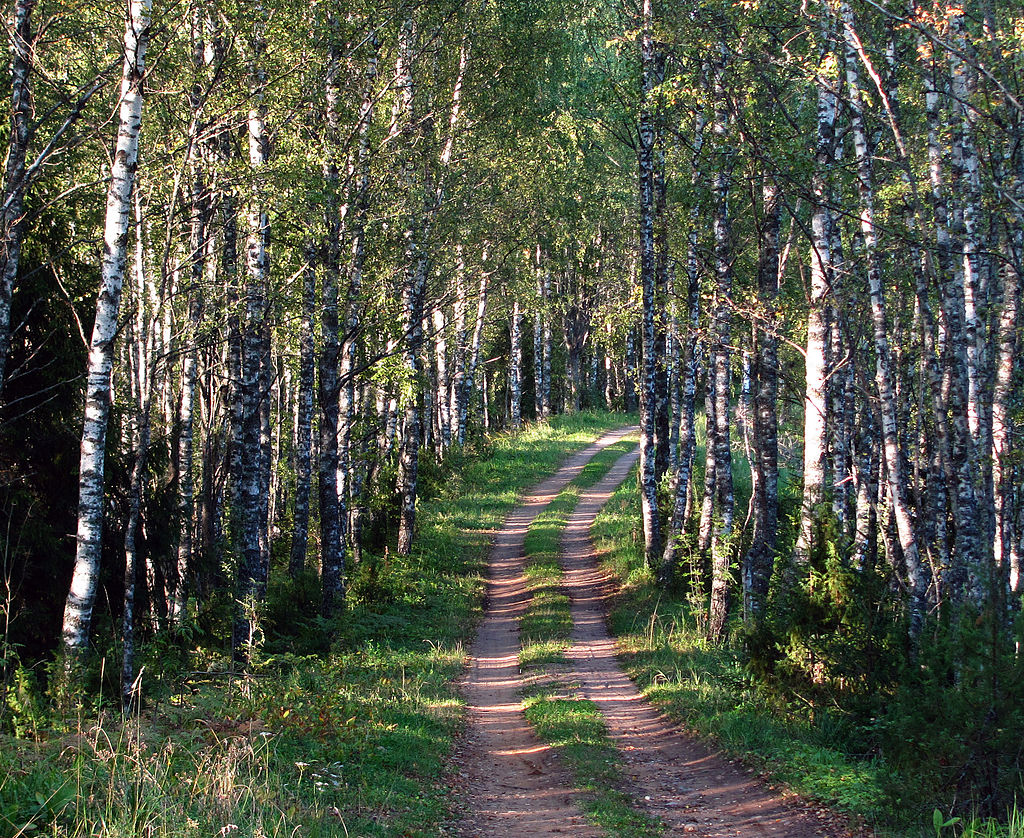 Põhja-Kõrvemaa, Estonia