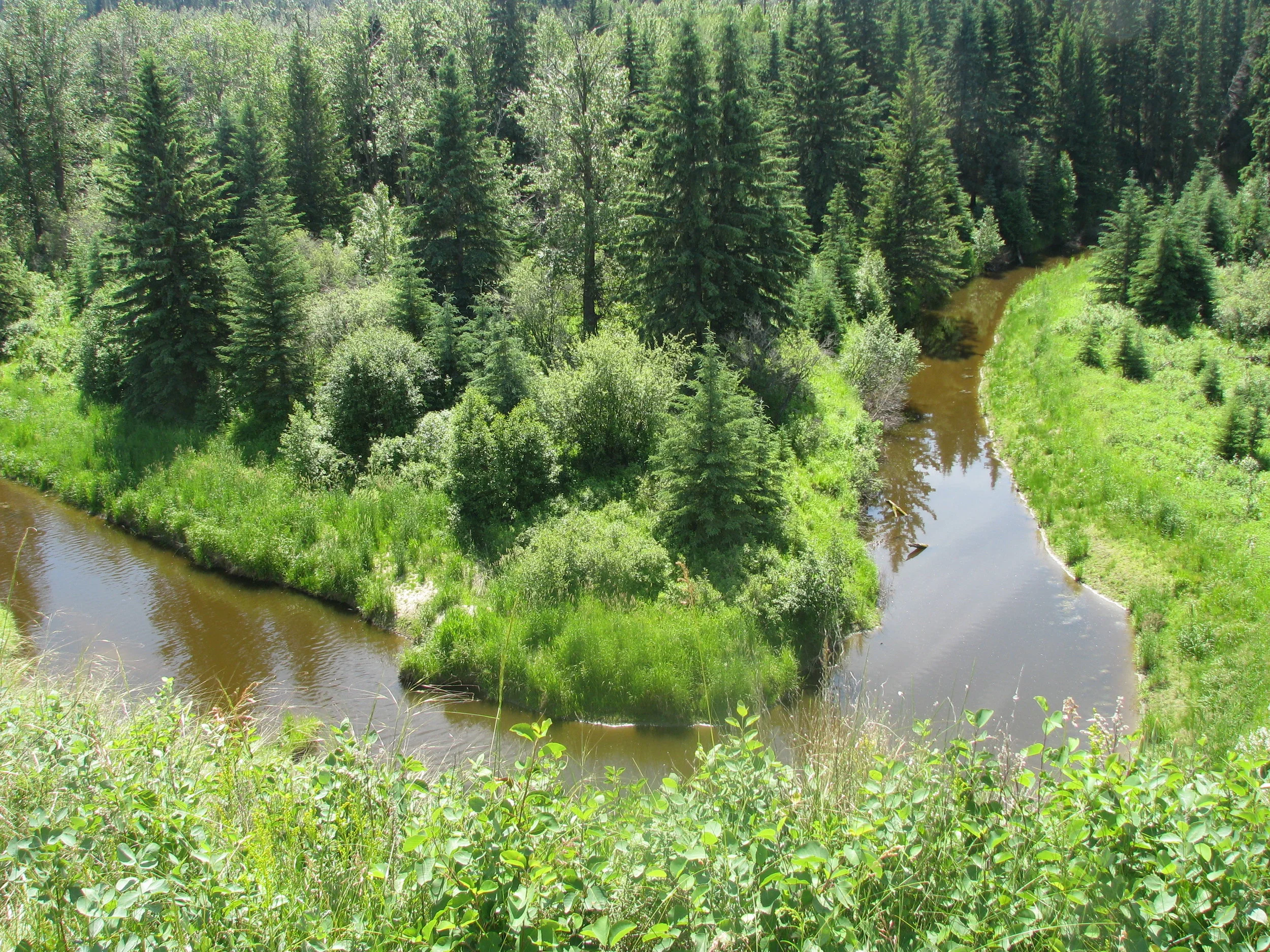 Science Spotlight: Crazy Curves