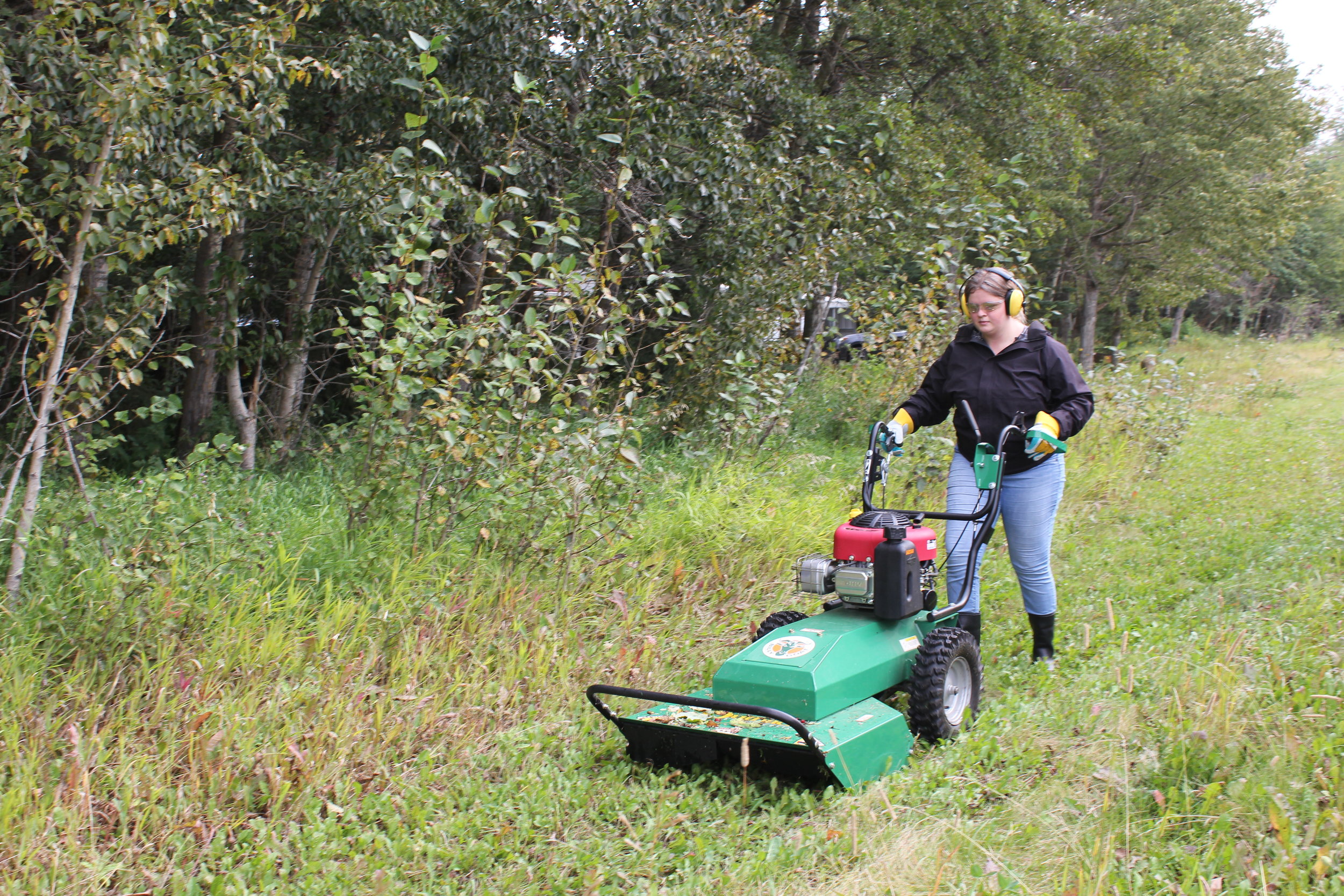 Alana mowing at Boisvert.JPG