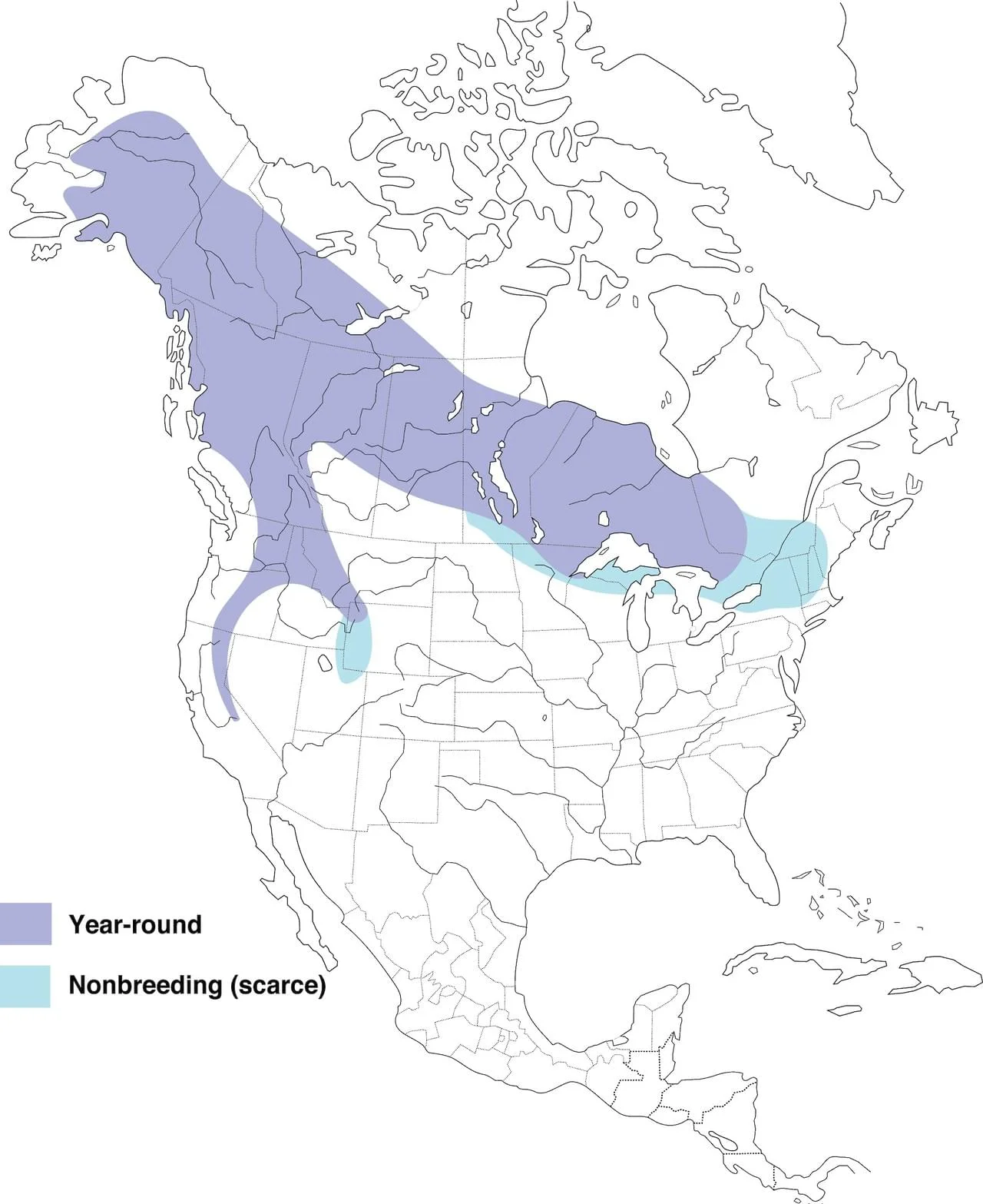 Great Gray Owl range by Cornell Lab of Ornithology.