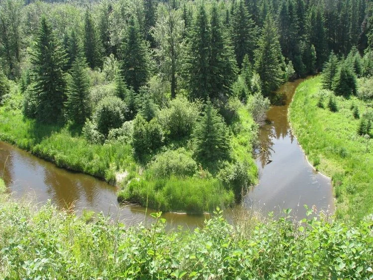 (Located east of Wetaskiwin)