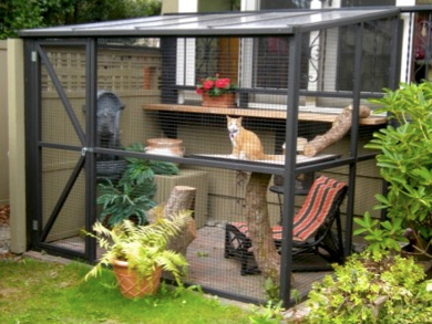(An example of an outdoor enclosure, or "catio".) (Source: catsandbirds.ca)