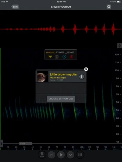 Screenshot from the Echo Touch Meter App