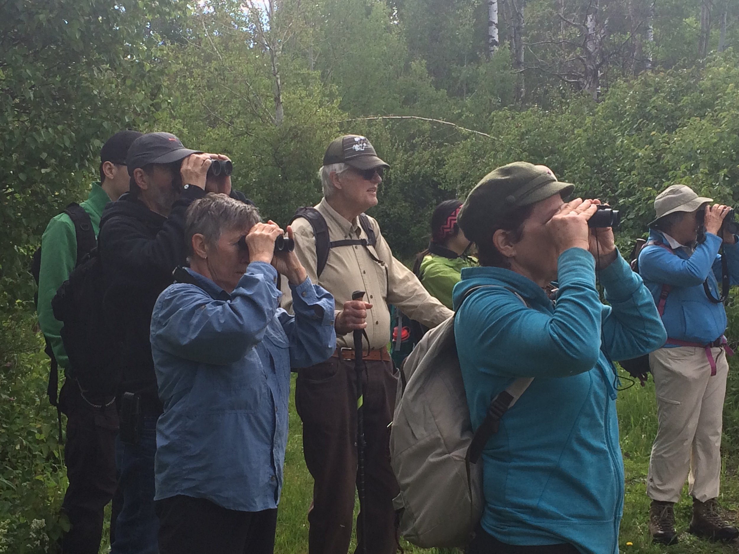 Surveying bird and plant life at Lu Carbyn Nature Sanctuary