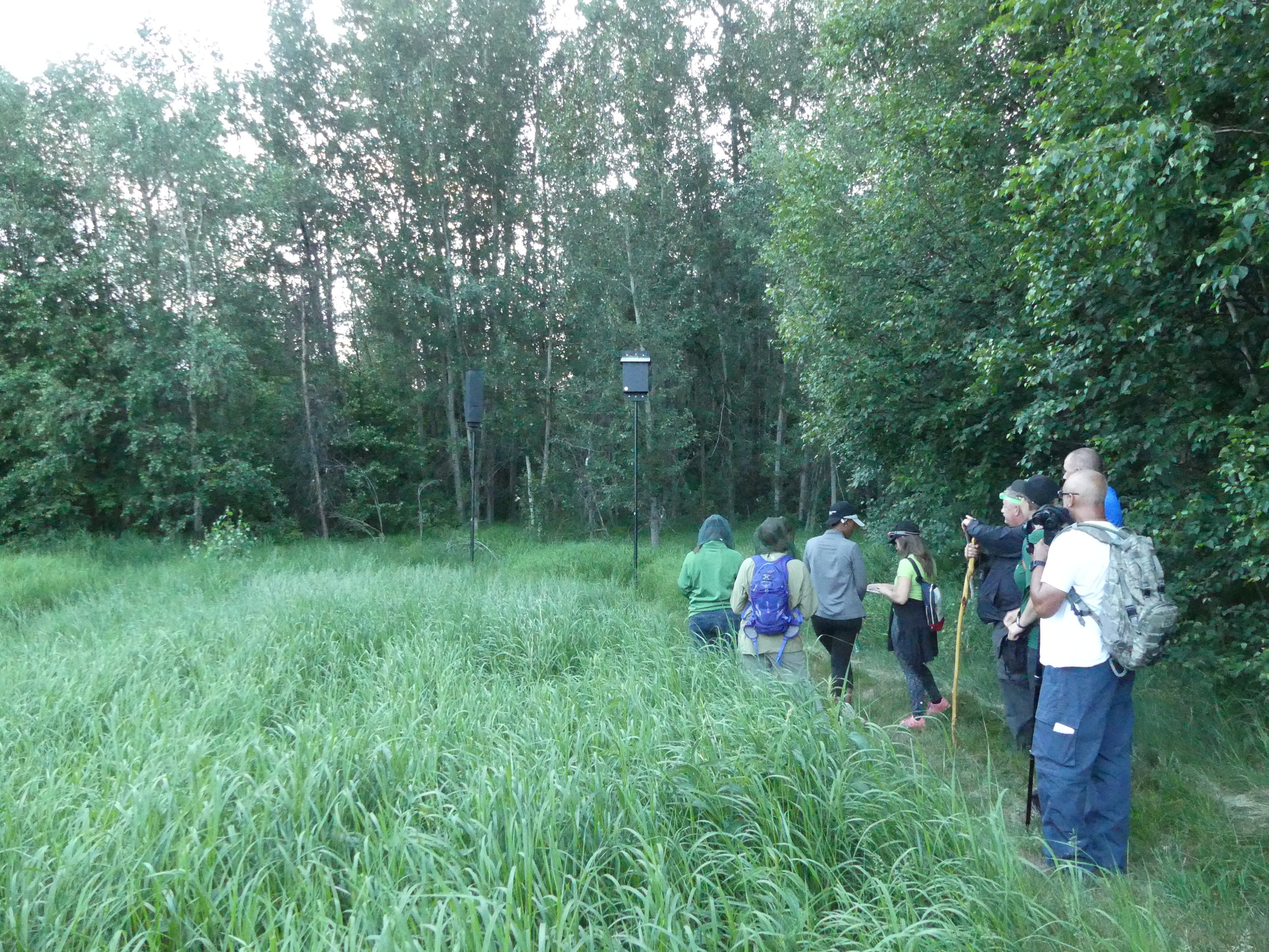 Volunteers at Glory Hills Bat and Owl Survey