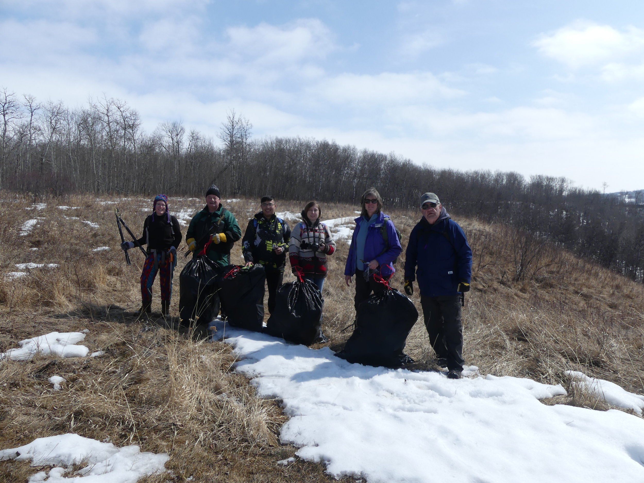 Volunteers removed 4 bags of black knot fungus from Pipestone Creek