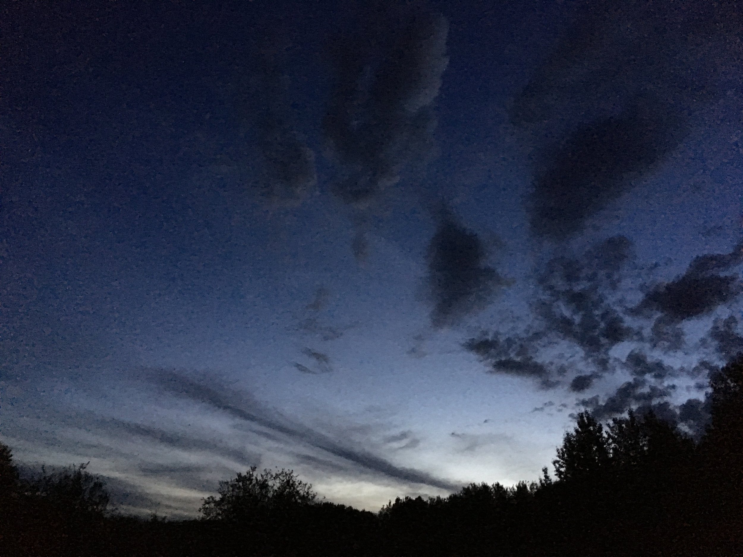 The night sky at the Glory Hills Bat and Owl survey