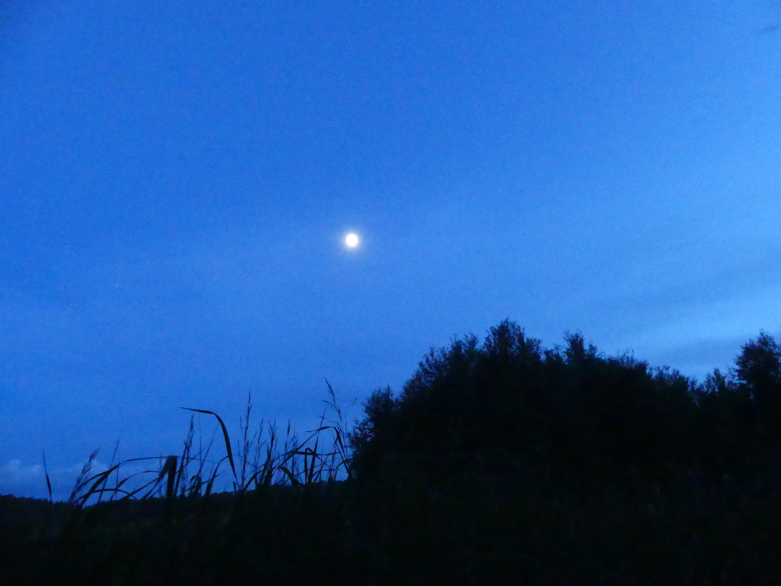The moon at the Glory Hills Bat and Owl Survey
