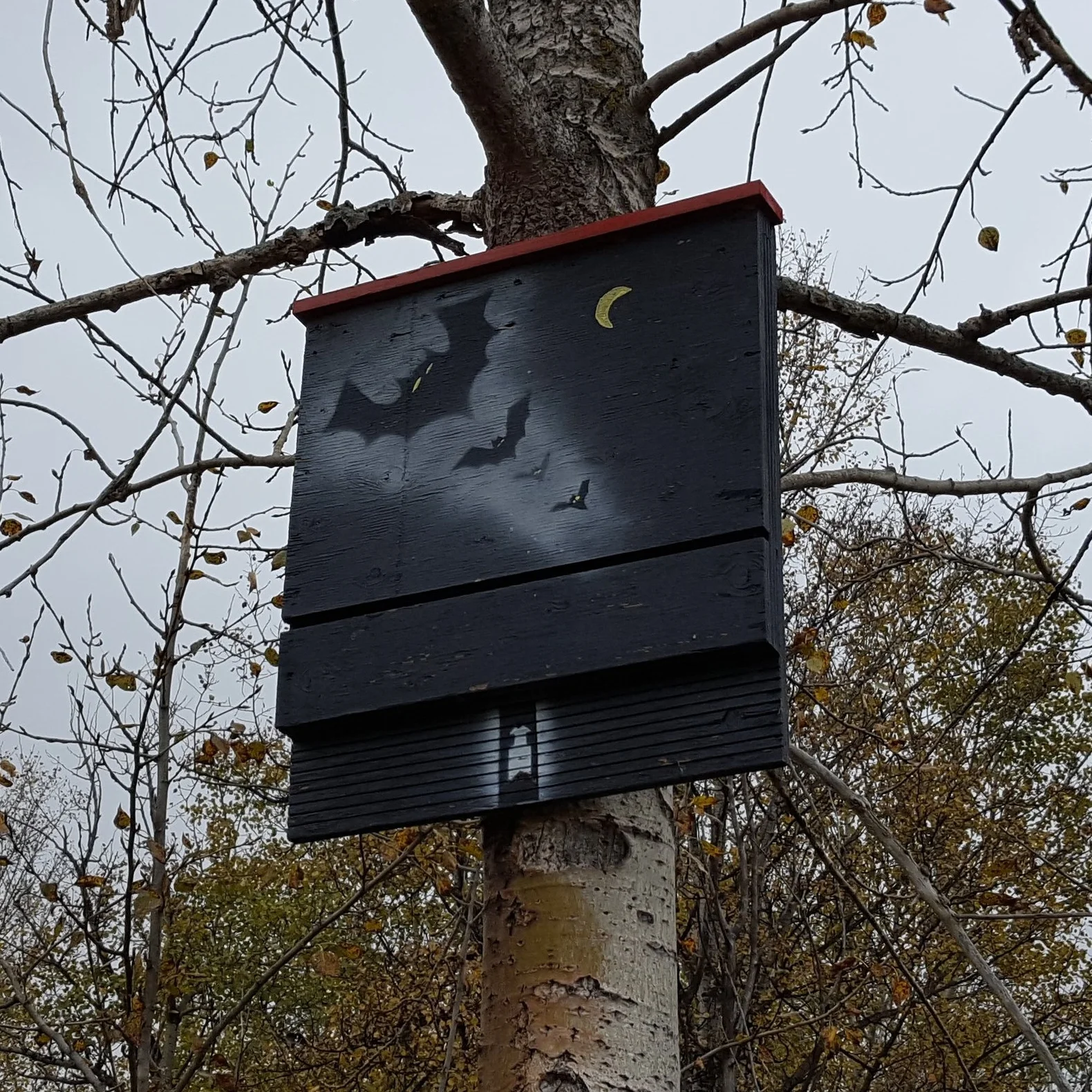 Bat Boxes — Edmonton & Area Land Trust
