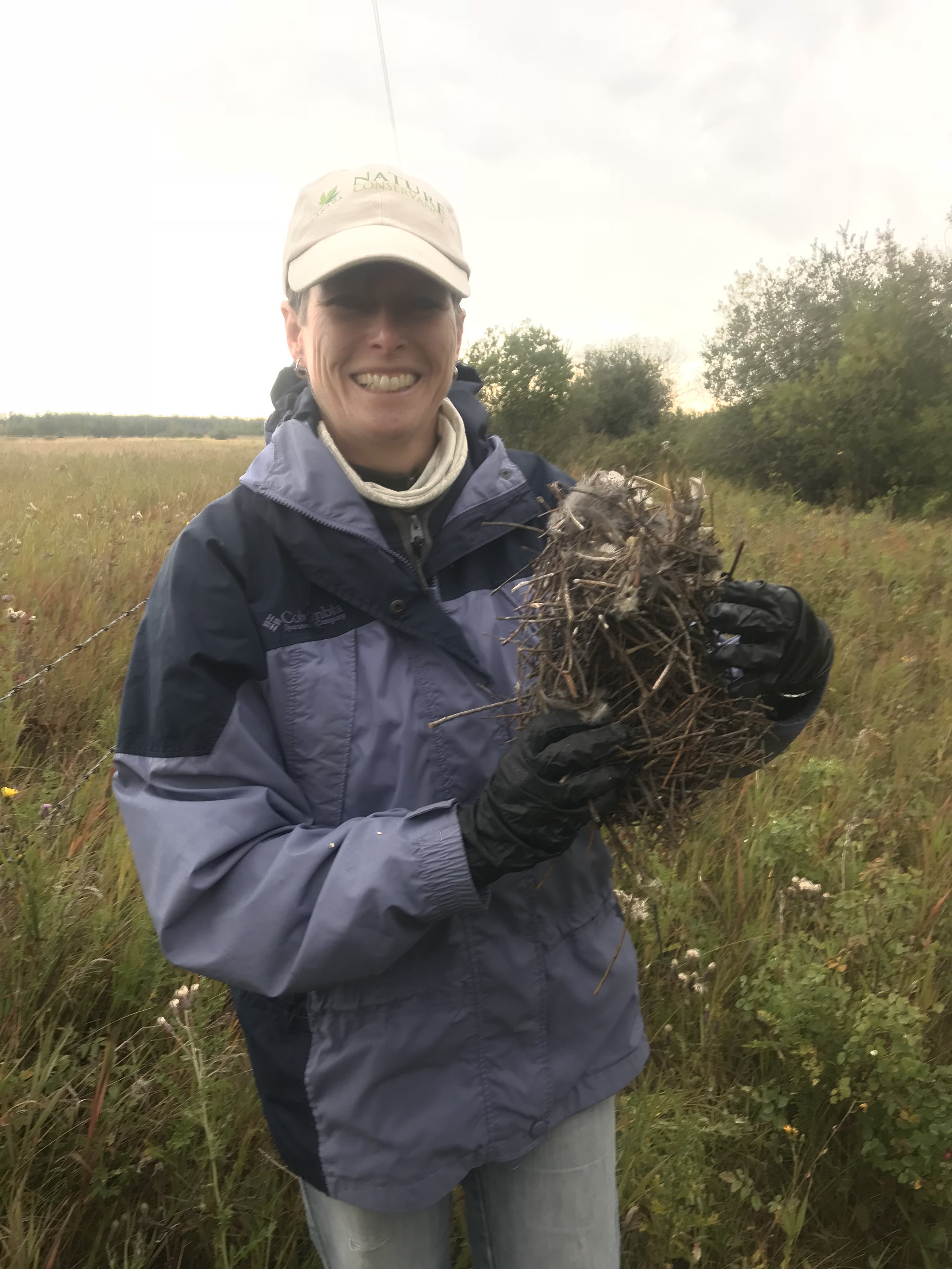 Volunteers cleaned out 53 nest boxes at Golden Ranches
