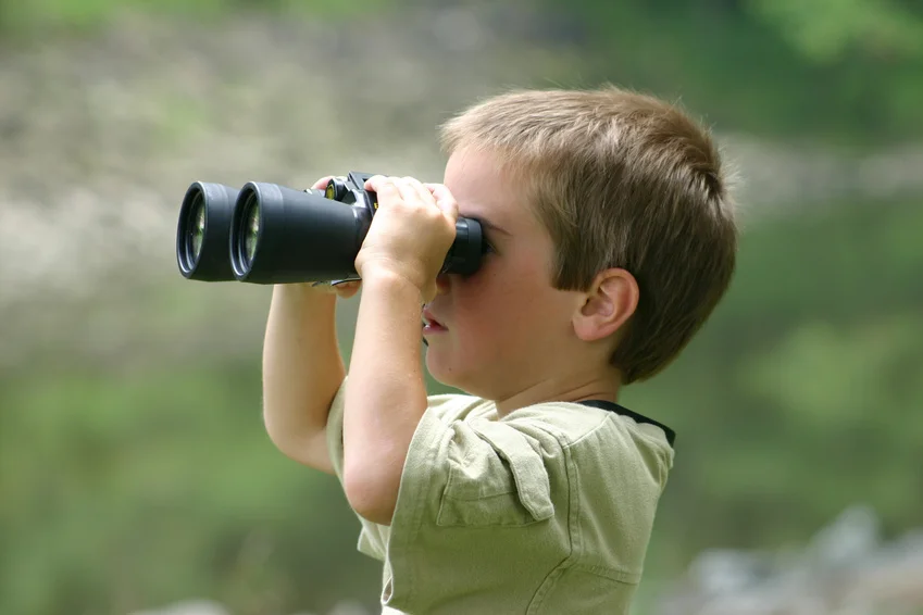 Wildlife Watching Practice
