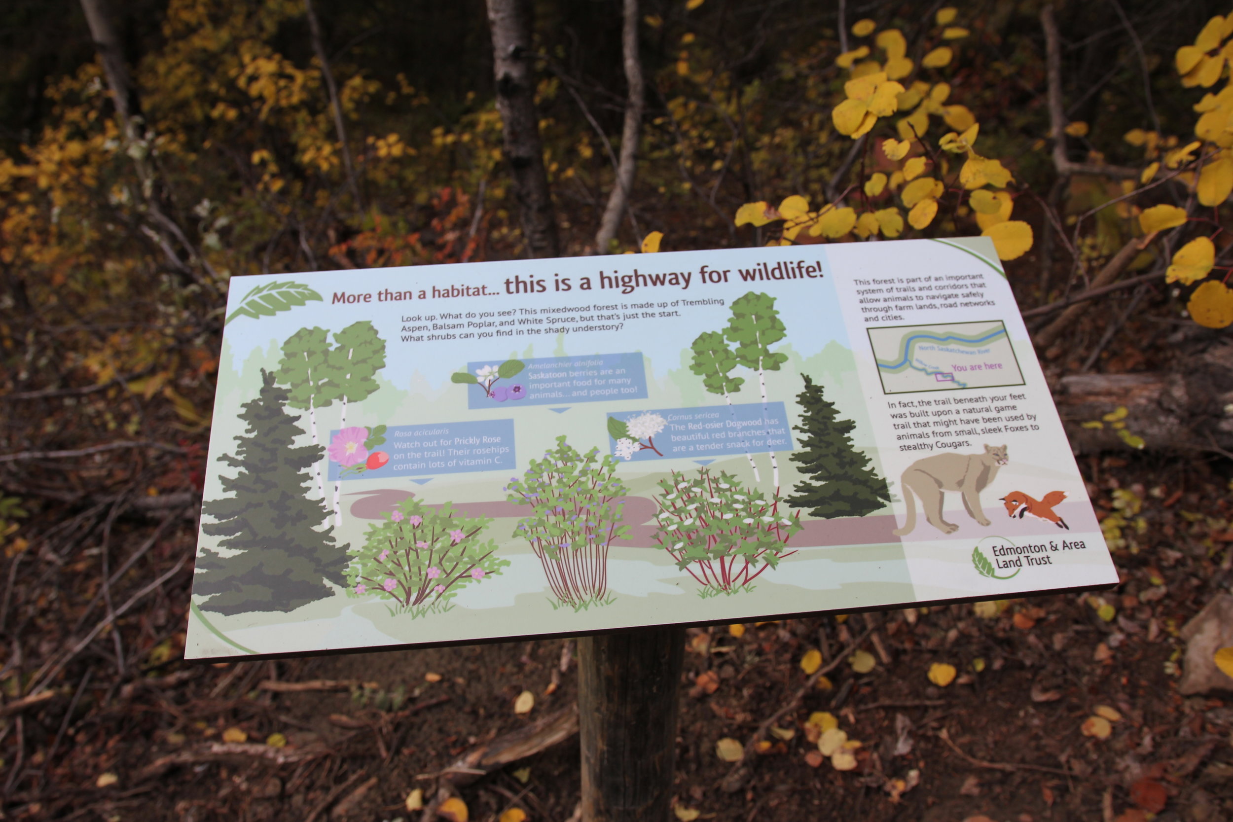 Educational sign at Coates Conservation Lands