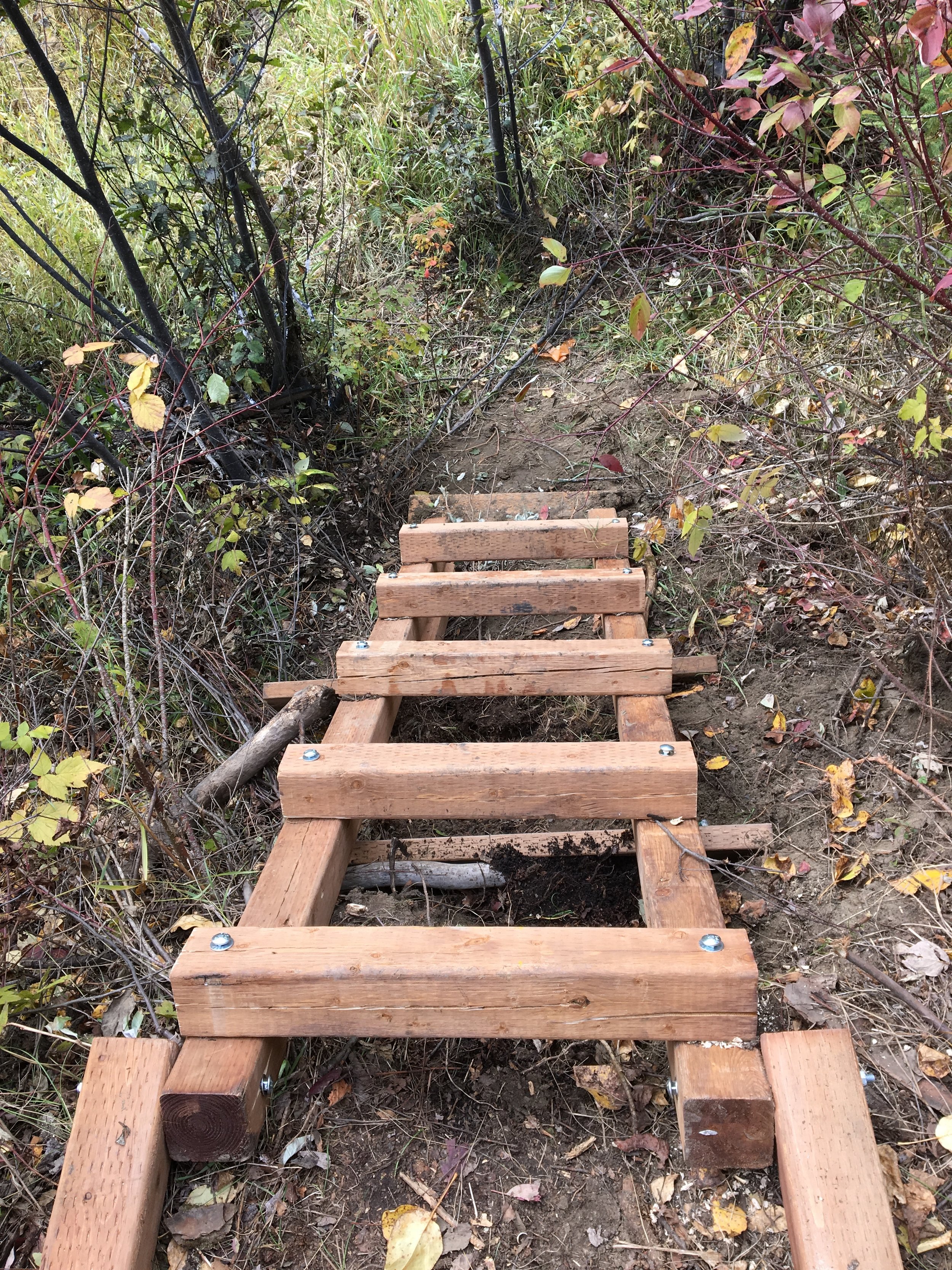 Ladder on the trail at Coates Conservation Lands