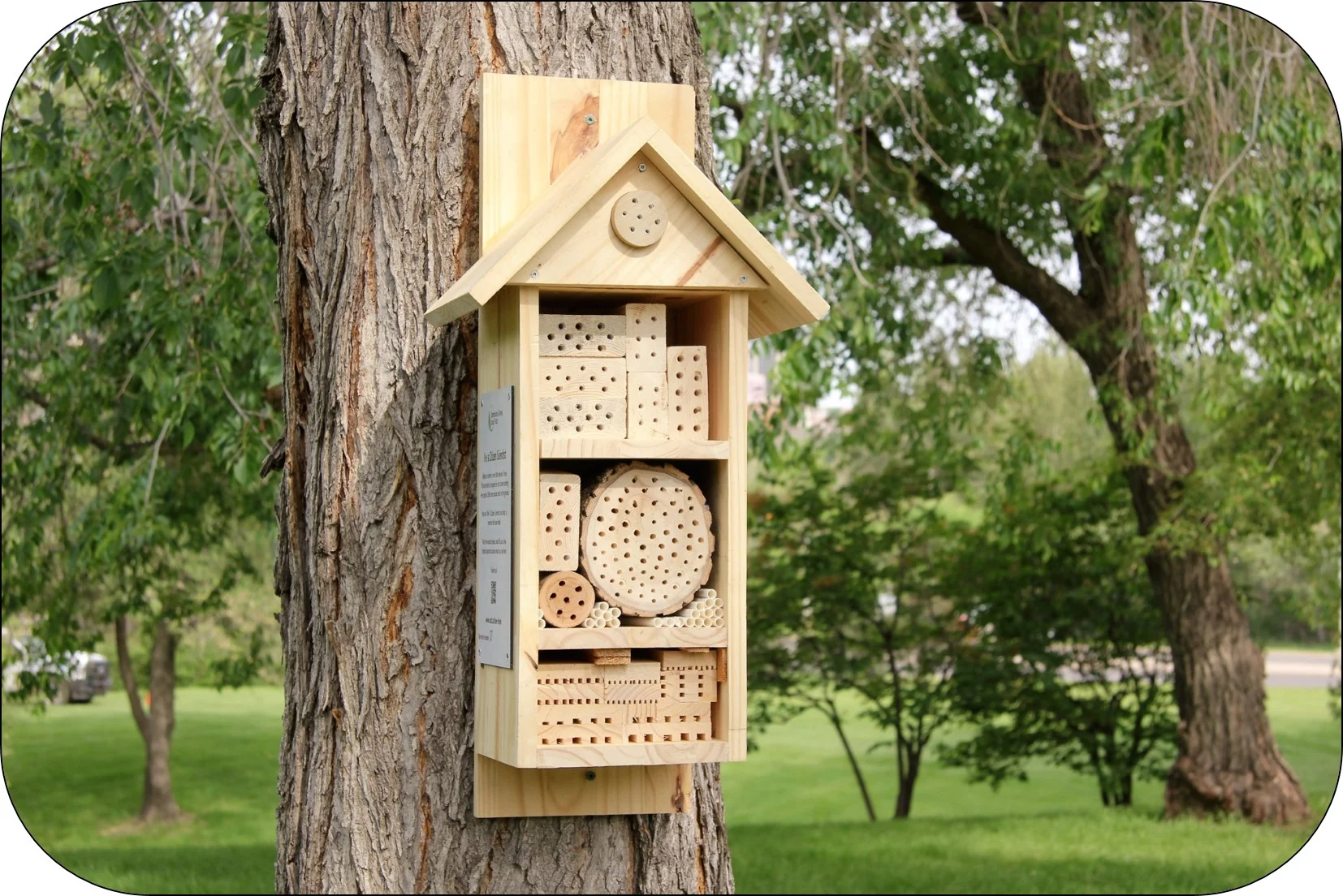 Bee hotels are about 2 1/2 feet tall and have several wooden blocks inside with tunnels where bees can lay eggs.
