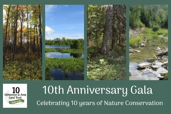 Celebrating 10 Years of Nature Conservation
